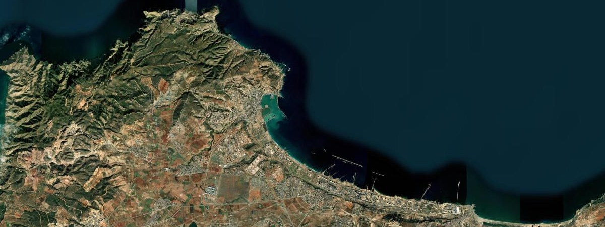 Arzew LNG satellite view