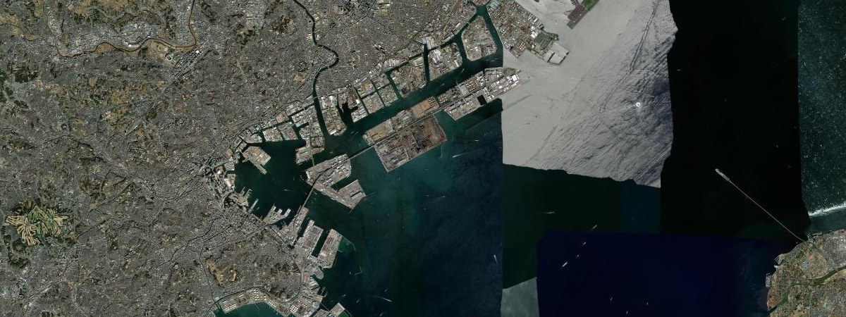 Higashi-Ohgishima LNG satellite view