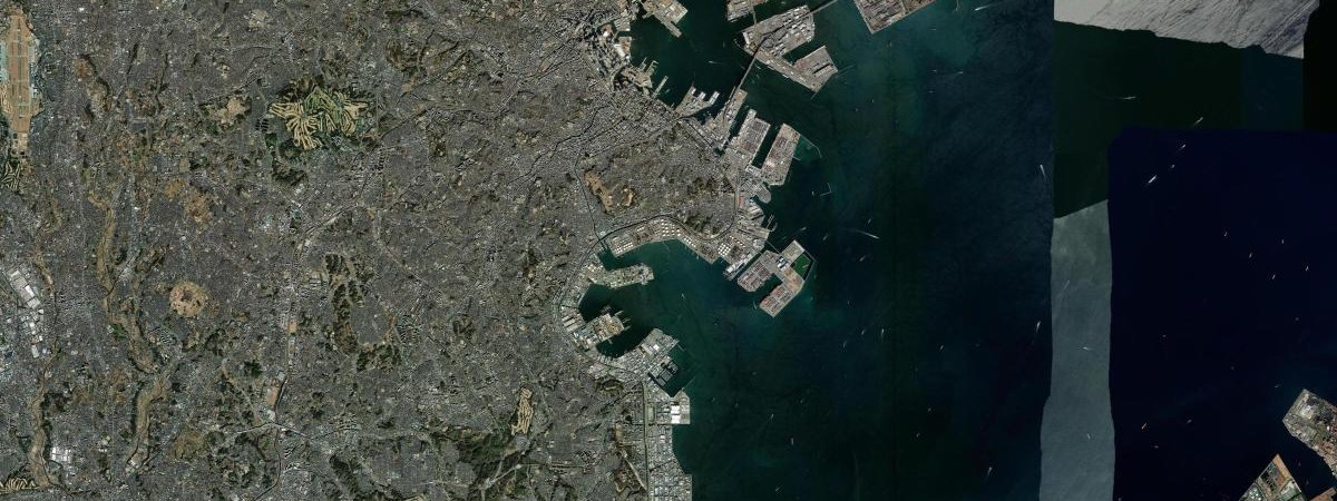 Negishi LNG satellite view