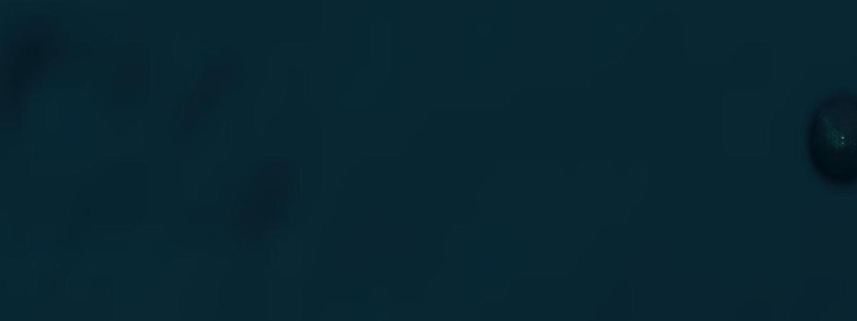 OLT Toscana FSRU satellite view