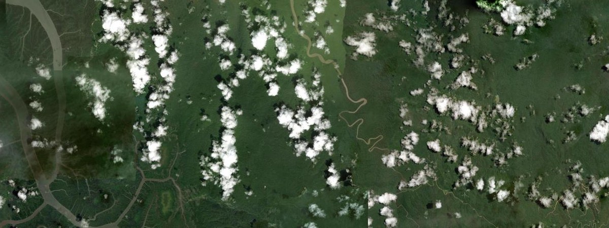 Tangguh LNG satellite view